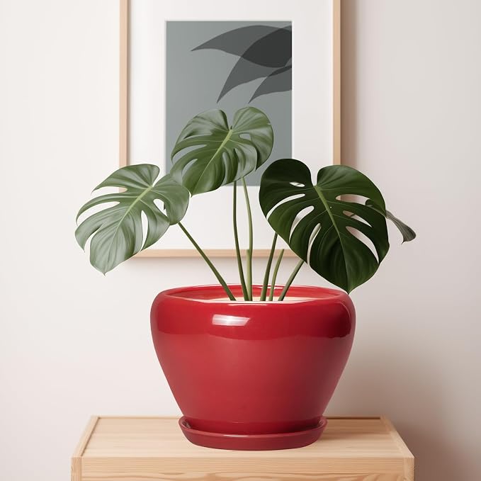 Ceramicfor 10 Inch Plant Pot, Ceramic Planter - Image 7