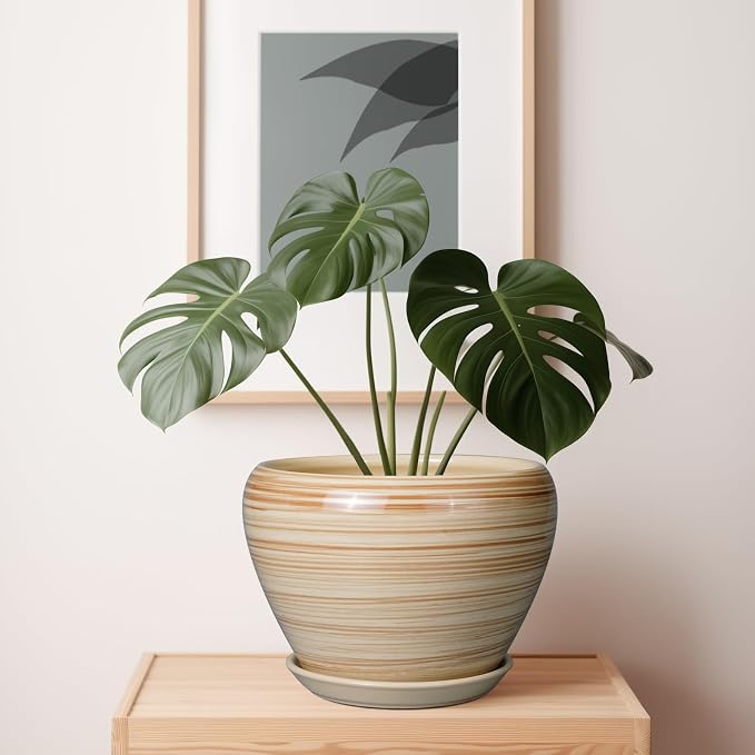 Ceramicfor Ceramic Pot for Plant 10 Inch - Image 6