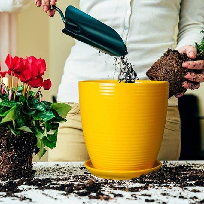 10 Inch Plant Pot - Image 4