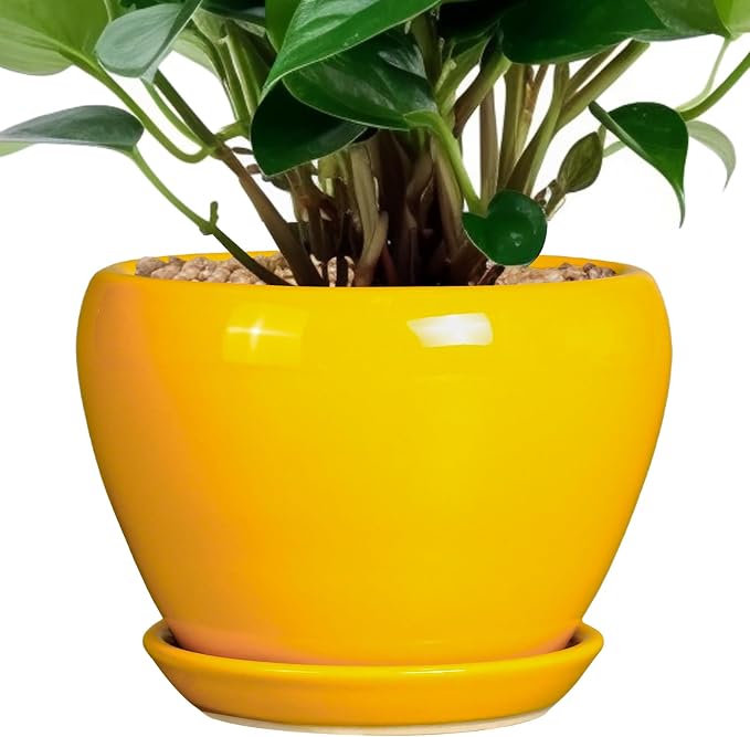 Ceramicfor Ceramic Pot for Plants by Ceramicfor