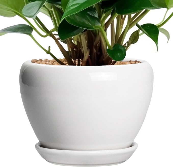 Ceramicfor Ceramic Pot for Plants by Ceramicfor