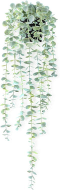 Fake Hanging Plant Eucalyptus Artificial Faux Plants Indoor Small Wall Greenery by HOFMEFY