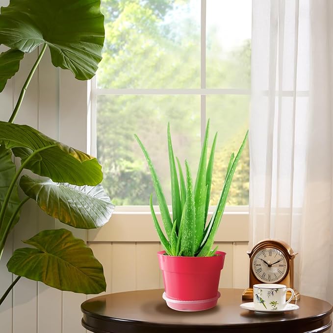 RooTrimmer 8 inch Plastic Flower Pots - Image 4