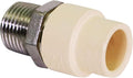 Supply Giant TTDQN300 Male x CPVC Adapter Transition Pipe Fitting; Durable Over by SupplyGiant