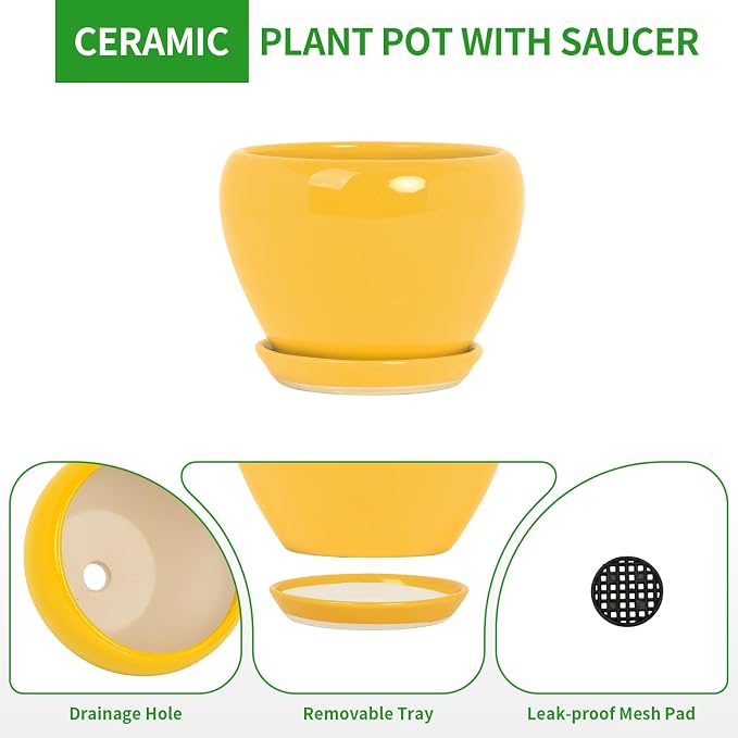 Deep Dream 10 Inch Plant Pot- Ceramic Planter Pot Round Plant Pots - Image 7