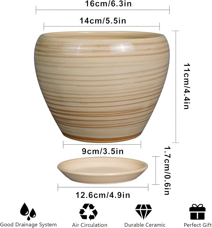 Ceramicfor 6 Inch Plant Pot Ceramic - Image 3