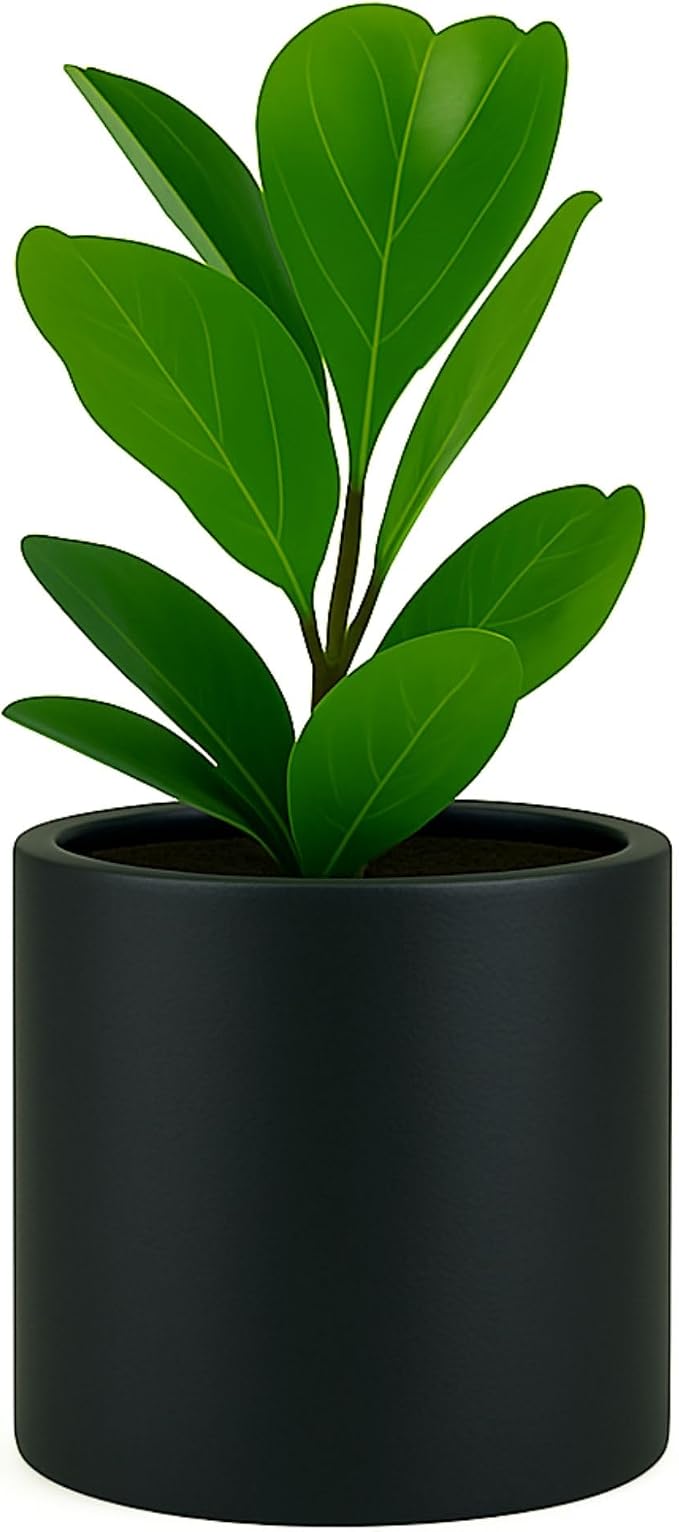 Fox & Fern Large Planter for Indoor or Outdoor, Matte Black, 10 Inch | UV & by FoxFern