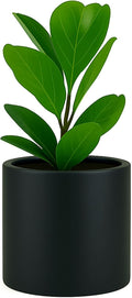 Fox & Fern Large Planter for Indoor or Outdoor, Matte Black, 10 Inch | UV & by FoxFern