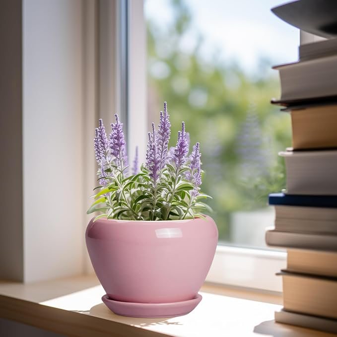 Ceramicfor 6 Inch Plant Pot - Image 2