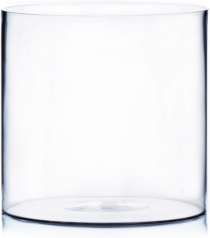 WGV Cylinder Vase, Width 12", Height 12", Floral Container, Planter Terrarium by WGVInternational-OpusGlassware