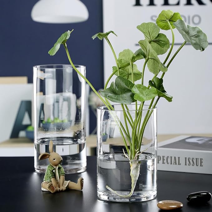 WGVI Quality Thick Clear Cylinder Glass Vase, Floral Container, Glass Candle - Image 7