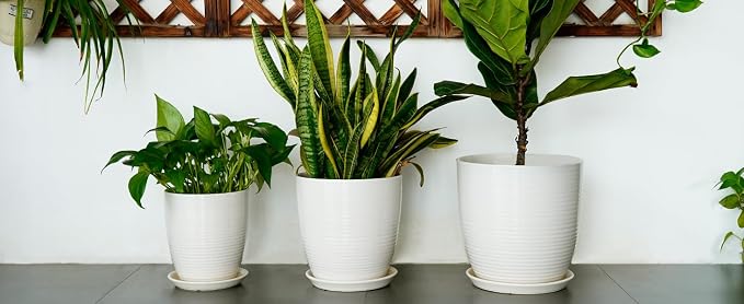10 Inch Ceramic Planter Pot - Image 7