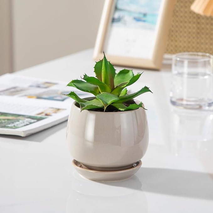 vancasso 3-Pack Ceramic Plant Pots, 3.7/4.8/6.2 Inch Indoor Planters - Image 7