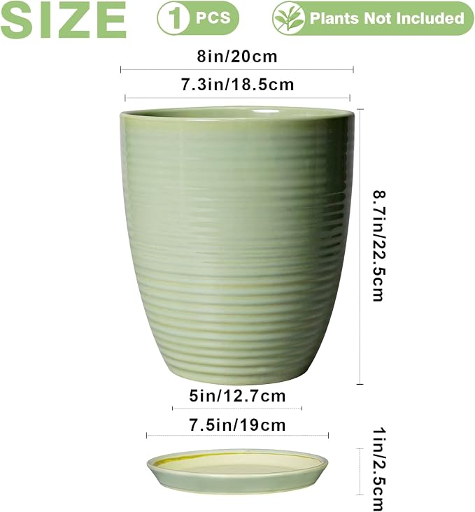 Ceramic Pots for Plants - Image 3