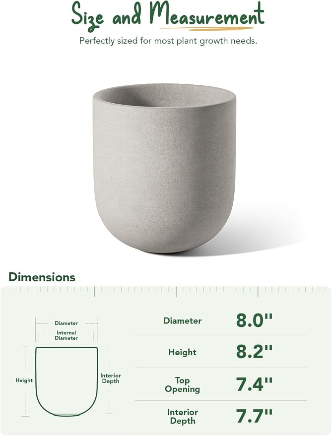 LE TAUCI 8 Inch Plant Pot, Ceramic Pot - Image 3