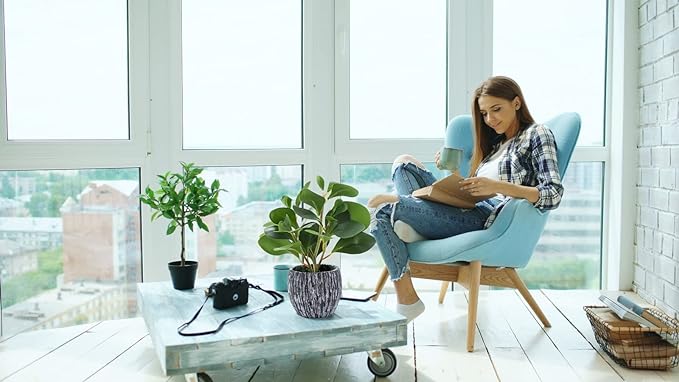 AlphaAcc Fake Faux Fiddle Leaf Fig Cement Planter Housewarming Desk Decor | - Image 3