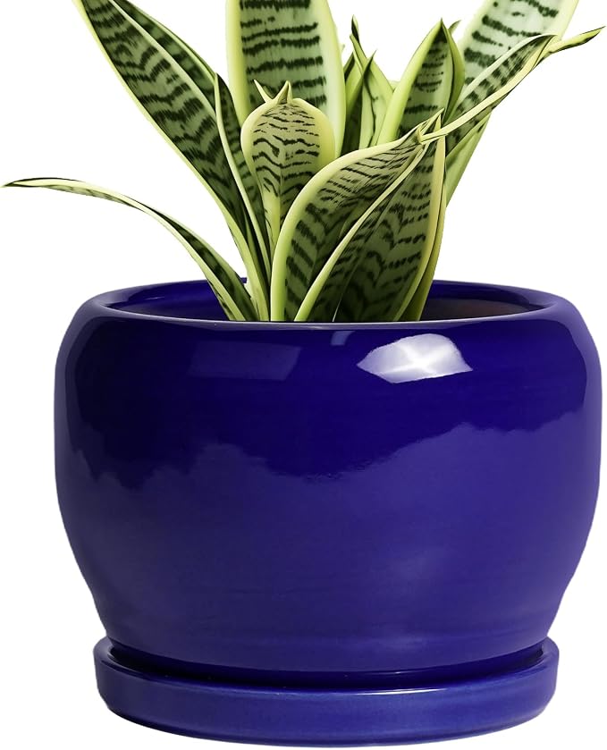SQOWL Ceramic Planters for Indoor Plants by SQOWL