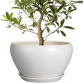 Ceramicfor Planter for Indoor Plants 13 Inch by Ceramicfor