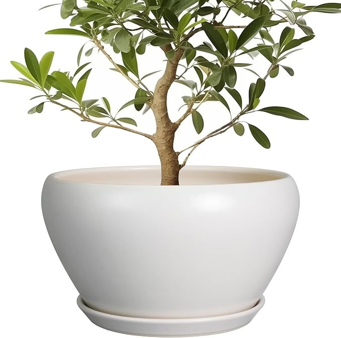 Ceramicfor Planter for Indoor Plants 13 Inch by Ceramicfor