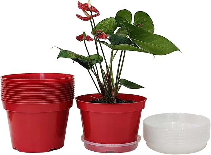 RooTrimmer 8 inch Plastic Flower Pots by RooTrimmer
