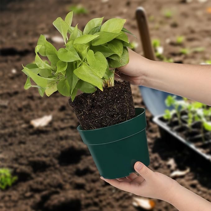 RooTrimmer 15 Pack 4/6/8 Inch Plant Nursery Pots, Sturdy Plant Pots - Image 5