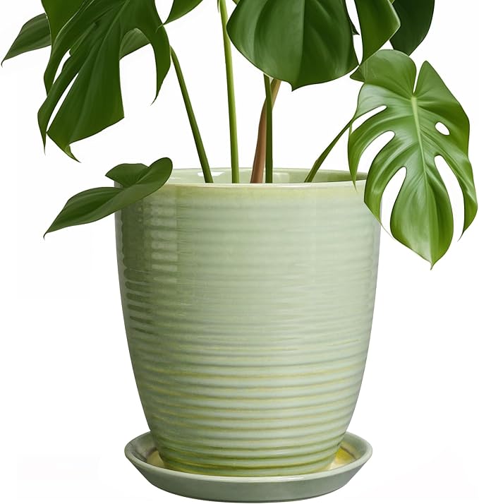 Ceramic Pots for Plants by EPFamily