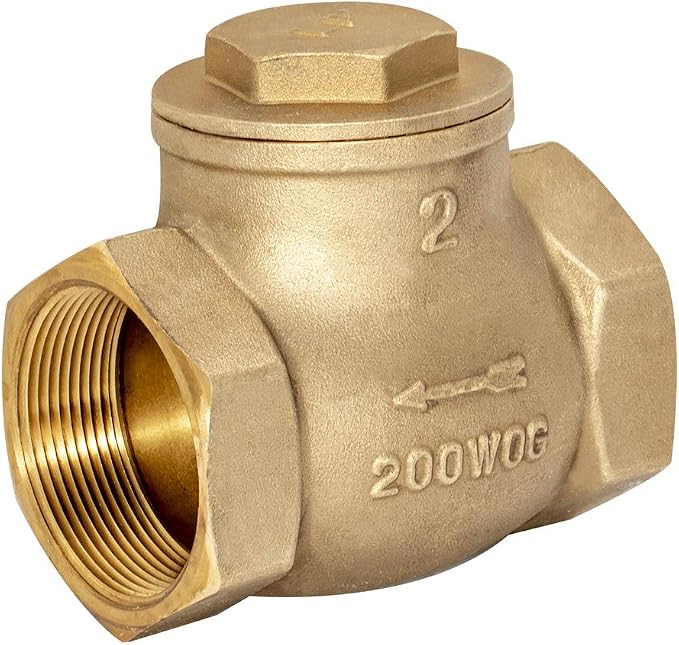 Eastman Brass Swing Check Valve, 2 Inch IPS, Brass Plumbing Fitting by Eastman