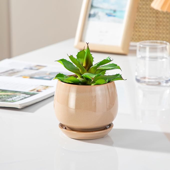 vancasso 3-Pack Ceramic Plant Pots, 3.7/4.8/6.2 Inch Indoor Planters - Image 7