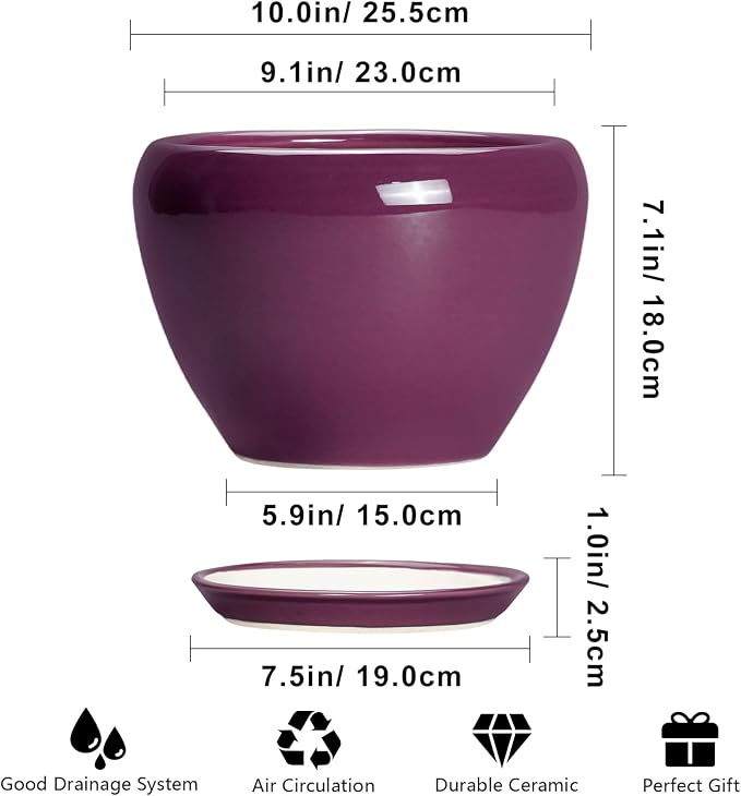 Ceramicfor 10 Inch Plant Pot - Image 3