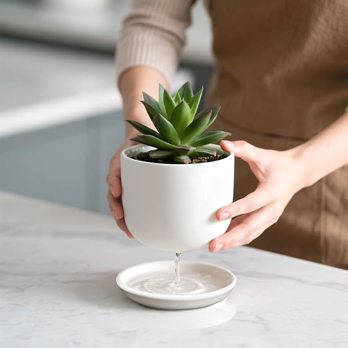 6.7 + 5.5 Inch Plant Pot, Ceramic Planter - Image 7