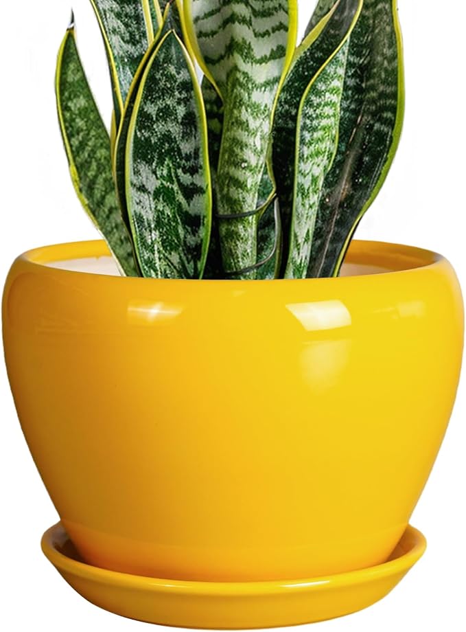 Ceramicfor 8 Inch Plant Pot by Ceramicfor