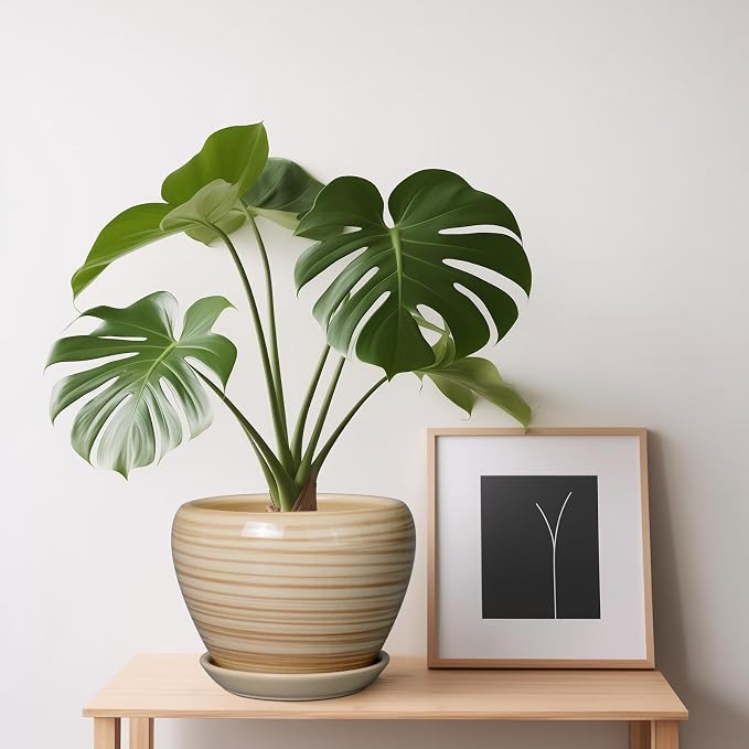 Ceramicfor 6 Inch Plant Pot Ceramic - Image 7