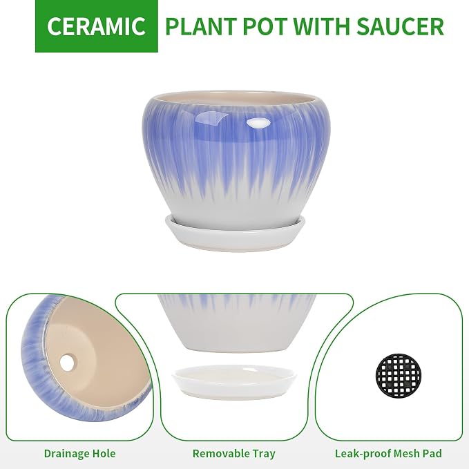 Deep Dream 8 Inch Plant Pots- Ceramic Pots - Image 7
