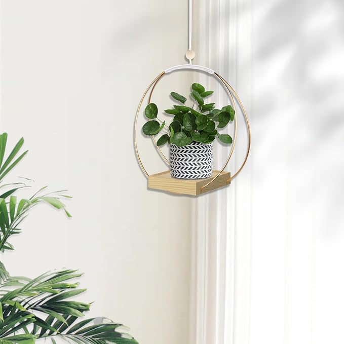 hismocal Hanging Planter for Indoor Plants, Plant Hanger - Image 2