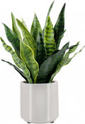 Fake Snake Plant 22" Tall, Realistic Touch Leaves, Potted Artificial Plants by Unknown