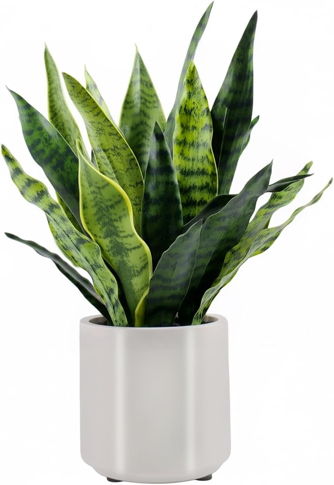 Fake Snake Plant 22" Tall, Realistic Touch Leaves, Potted Artificial Plants by Unknown