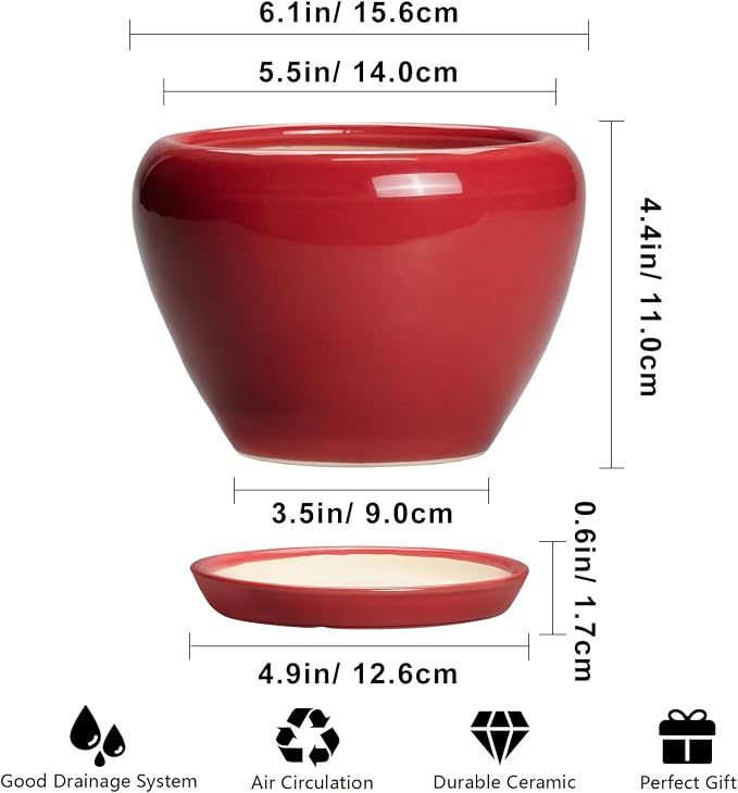 Ceramicfor 6 Inch Plant Pot - Image 3