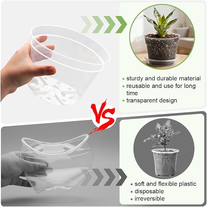 RooTrimmer 15 Pack 8/7/6 Inch Clear Nursery Pots - Image 4