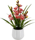 Fake Orchid Plant 19" Tall, Realistic Touch Leaves, Potted Cymbidium Artificial by Unknown