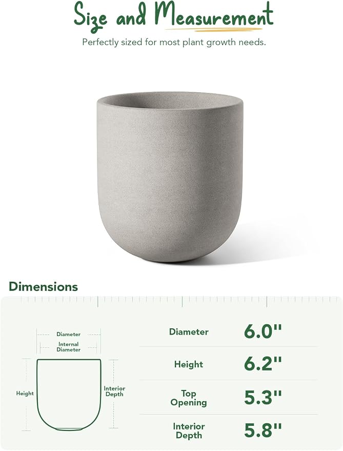 LE TAUCI 6 Inch Plant Pot, Ceramic Planter - Image 3
