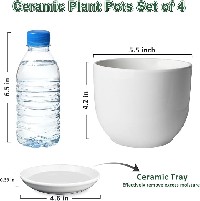 Ceramic Plant Pots, Ceramic Planter - Image 3