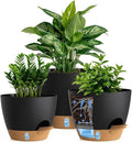 Self Watering Pots with Drainage Holes, 3 Pack 12/10/8 Inch Plant Pots with by KUGAZ