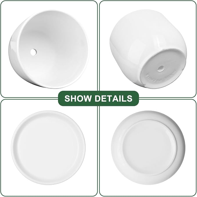6.7 + 5.5 Inch Plant Pot, Ceramic Planter - Image 6