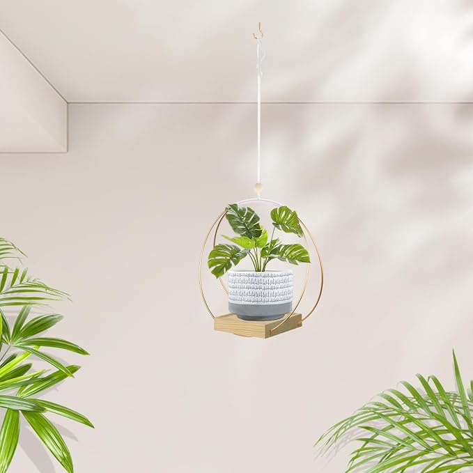 hismocal Hanging Planter for Indoor Plants, Plant Hanger - Image 5