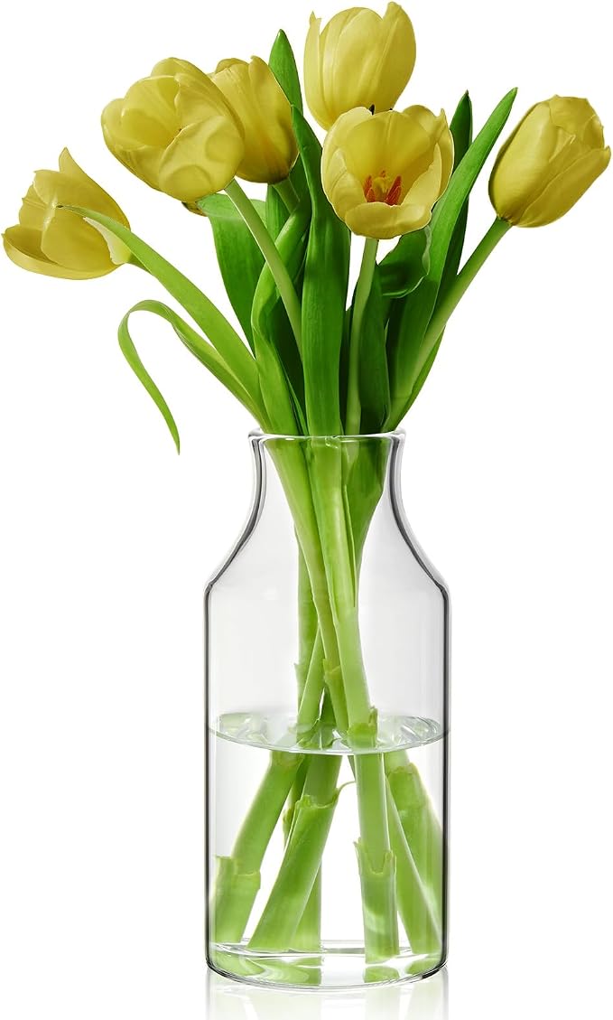 Clear Glass Vase, Small Glass Flower Vase, 7.6 inch Mini Vase by BWODYAY