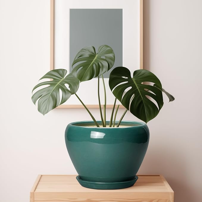 Ceramicfor Ceramic Planter for Indoor Plants 10 Inch, Glaze Round Decorative - Image 7