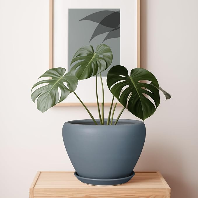 Ceramicfor 10 Inch Plant Pot, Ceramic Planter, Matte Gray | Planter - Image 6