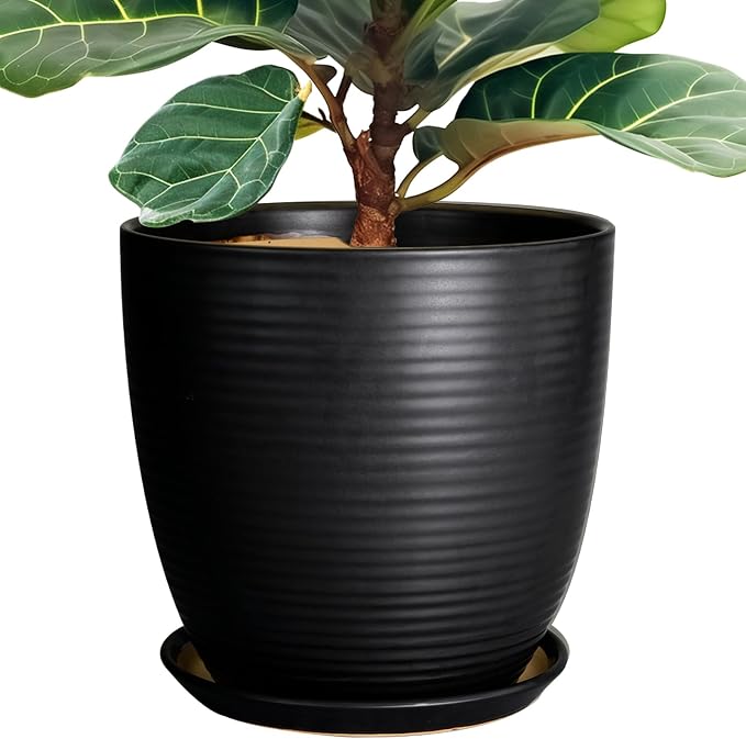 12 Inch Pots for Plants by EPFamily