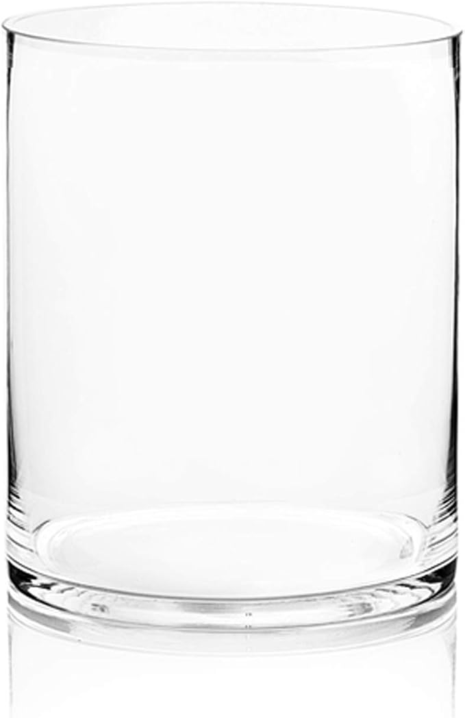 WGV Cylinder Vase, Width 8", Height 10", Floral Container, Planter Terrarium by WGVInternational-OpusGlassware