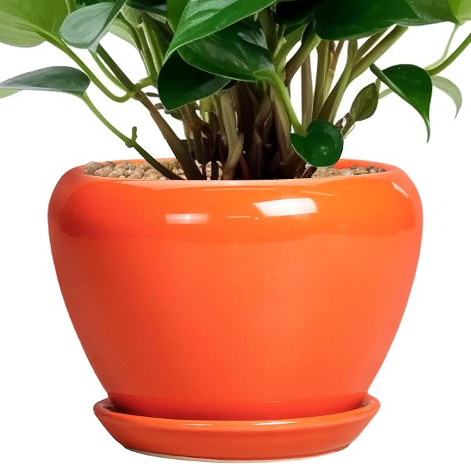Ceramicfor Ceramic Plant Pot 6 Inch by Ceramicfor